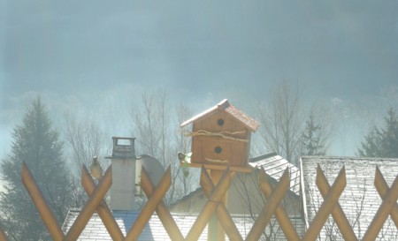 La maison des mésanges
